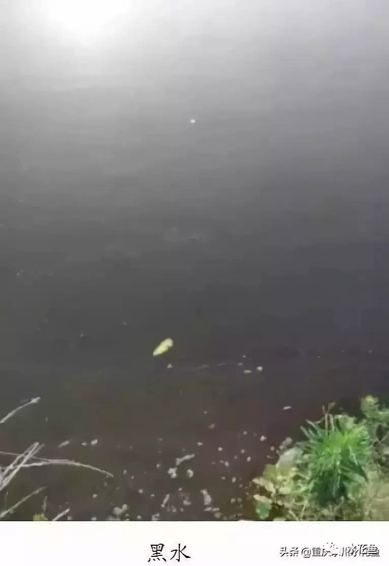 水产养殖水质评价标准,水产养殖水质怎么查看的