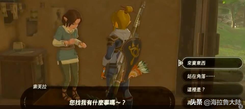 11万支箭塞尔达传说怎么刷,塞尔达传说荒野之息收集20支电箭