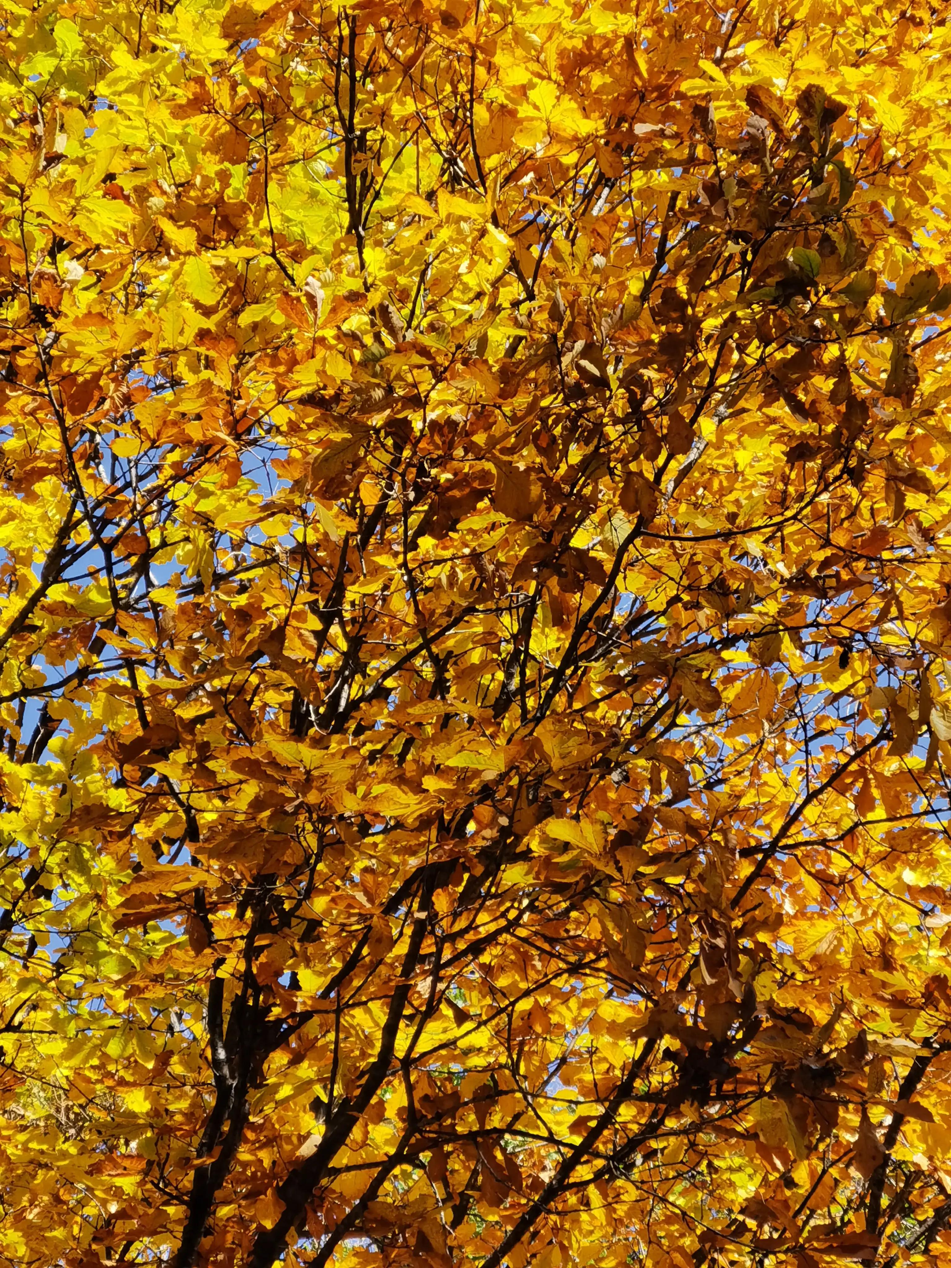 怀柔喇叭沟门原始森林2日自驾游,怀柔喇叭沟门原始森林骑行