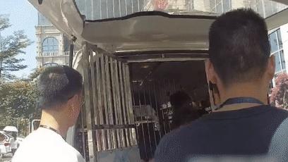 借3000还3万，还用“呼死你”电话轰炸！全抓！