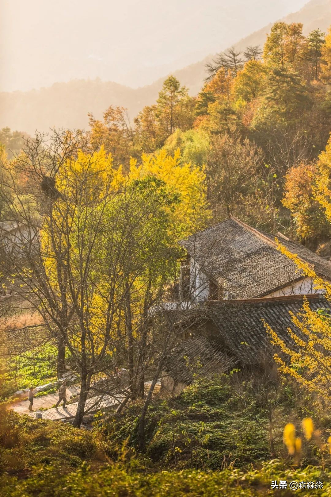 秦岭赏秋怎么玩才好玩呢,大秦岭山旅游攻略