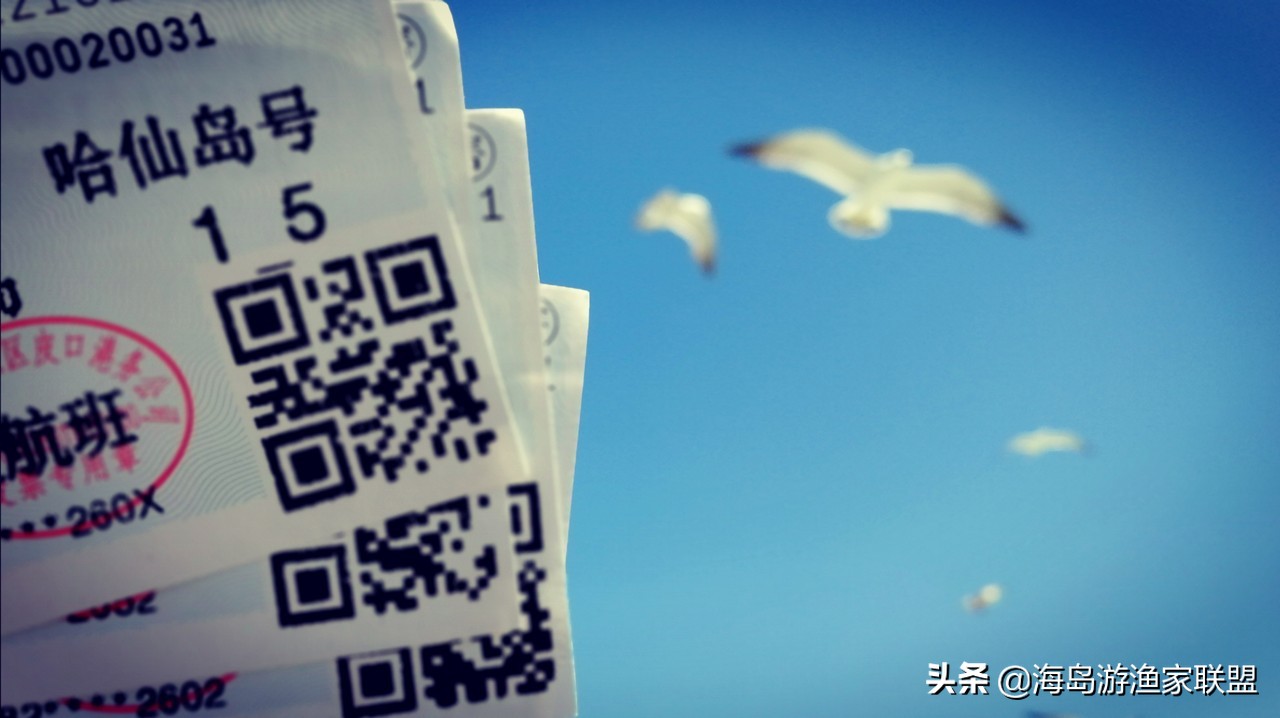 夏天哪凉快，来大连这个小岛，感受真正的夏季如春