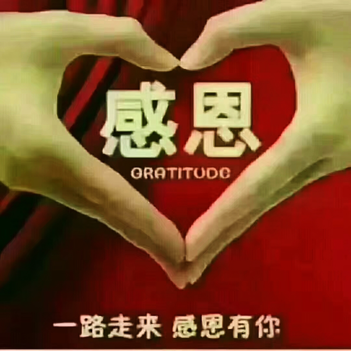 旅游亚龙湾,亚龙湾旅游