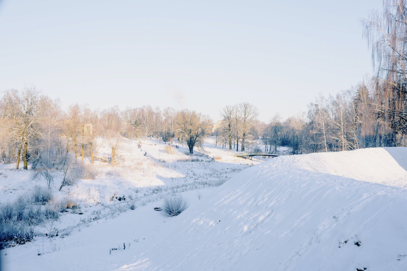 脱发时的小白点是毛囊吗,头发根部的小白点会堵住毛囊吗