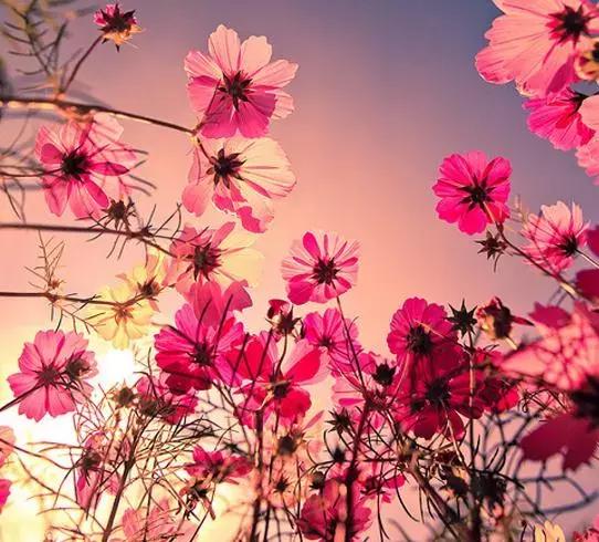 陕西宝鸡作家,宝鸡作家原创