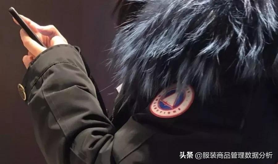 全球羽绒服市场下滑 (波司登羽绒服发展现状)