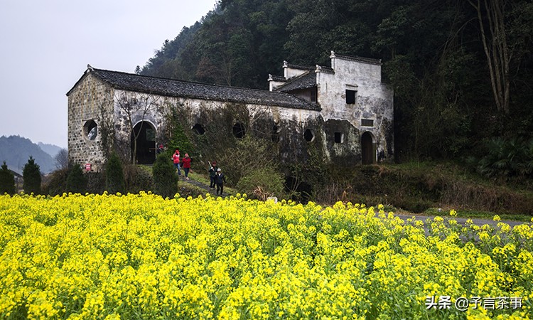 安徽茶产业发展问题,安徽茶发展趋势