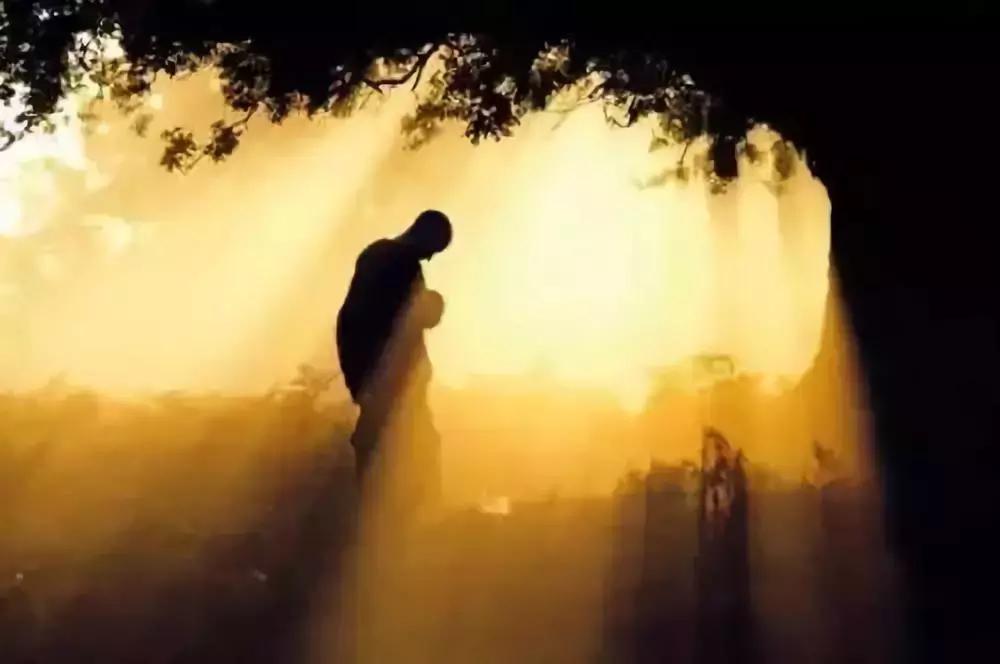 泰国隐秘的角落,泰国清迈古城旅游价格