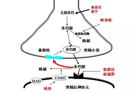 帕金森病最佳治疗药,帕金森病最佳药物治疗