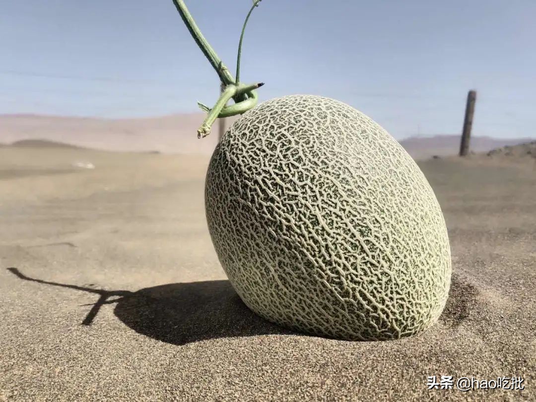 西州蜜25号与17号甜度,西州蜜25号的甜度