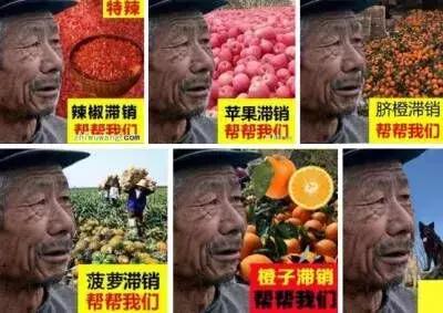 中农网这么能“打”，卓尔如虎添翼