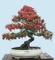 创业小项目获得资源,创业项目可以利用的资源