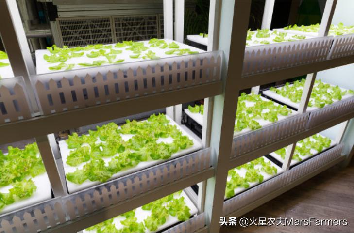 聚蔬果之精华，成养生之佳品，喝它千遍也不厌