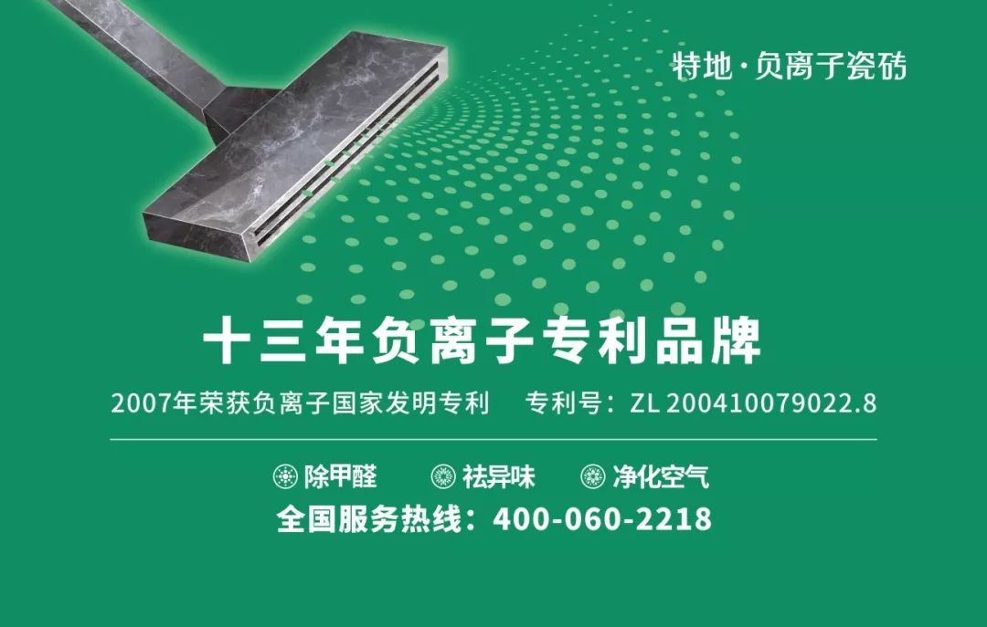 特地陶瓷负离子砖价格,特地负离子陶瓷怎么样