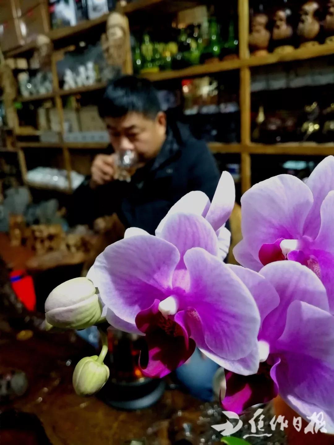 想把春天送给你……焦作这位“文化草根”的创业故事满满正能量