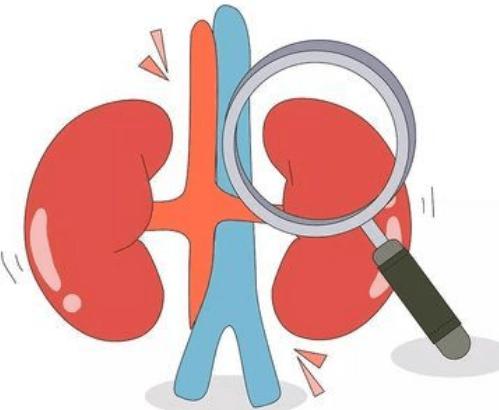 痛风有哪些症状痛风应注意些什么,痛风是怎么引起的痛风有哪些症状