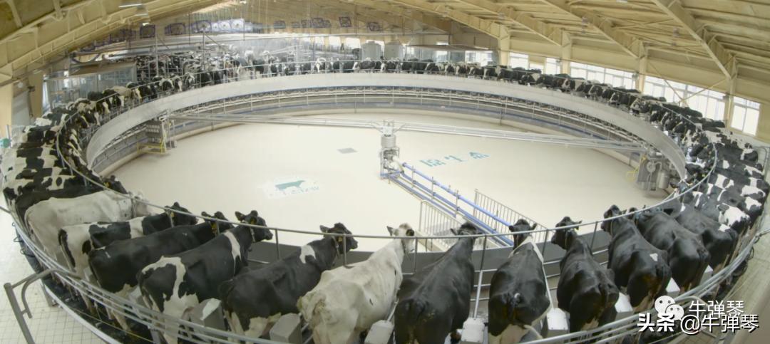 伟大祖国向勇攀高峰者致敬,大国风范致敬英雄