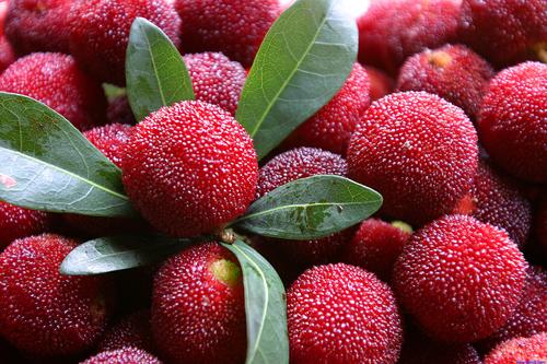 杨梅为什么成了网红水果,中国台州网红杨梅