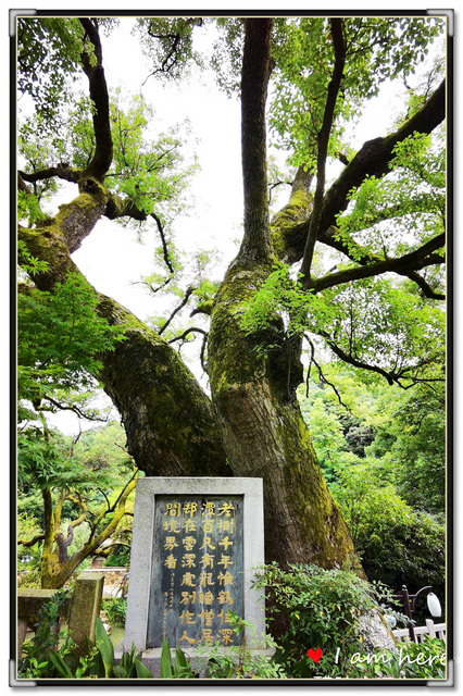 这里美酒飘香！这里人文荟萃！这里五彩璀璨