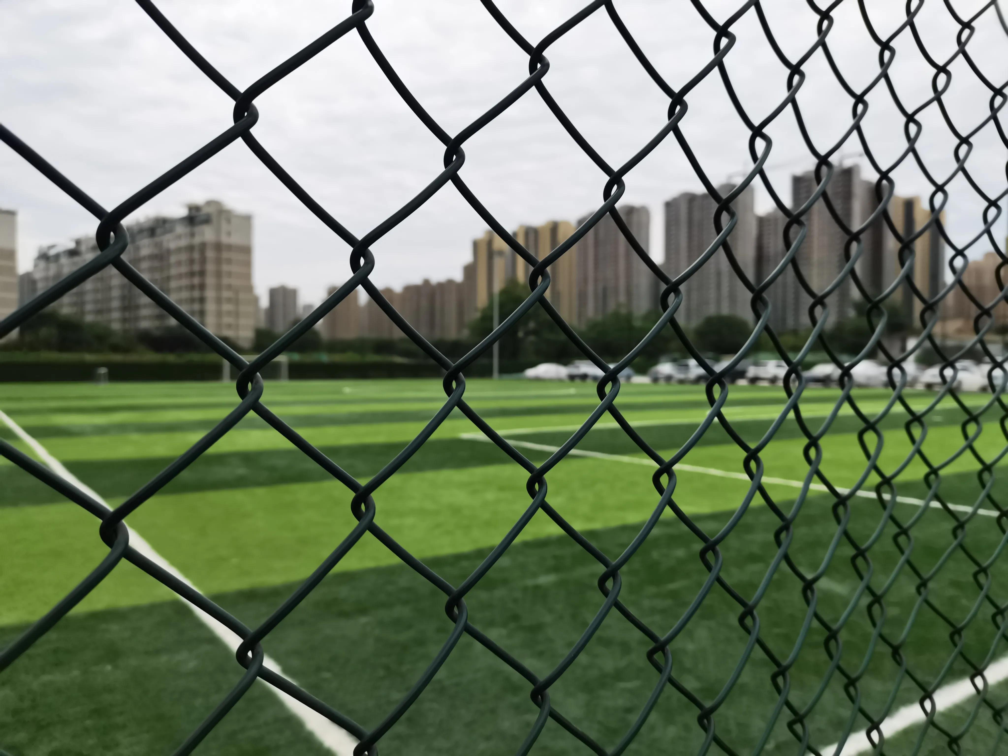 张路谈中国足球人口,中国足球人口趋势