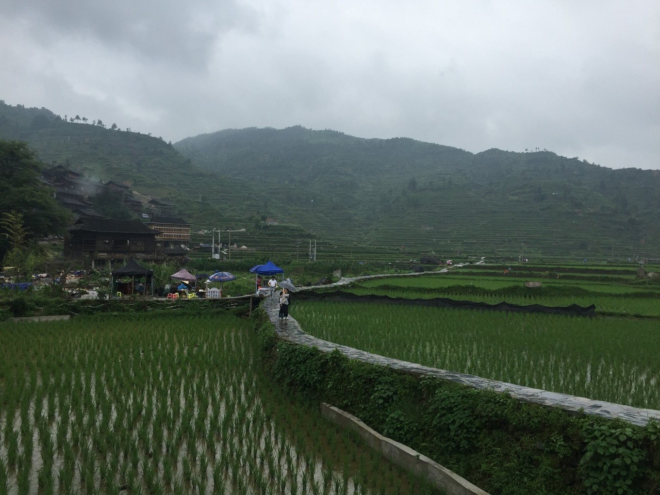 西南有哪些省,西南神秘地区