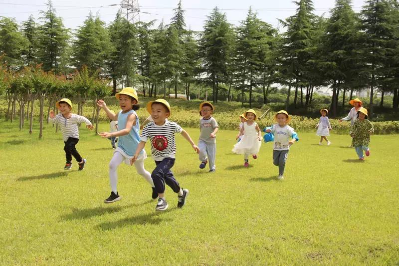 汇爱幼稚园对面幼儿园,汇爱幼稚园郑地璞园校区