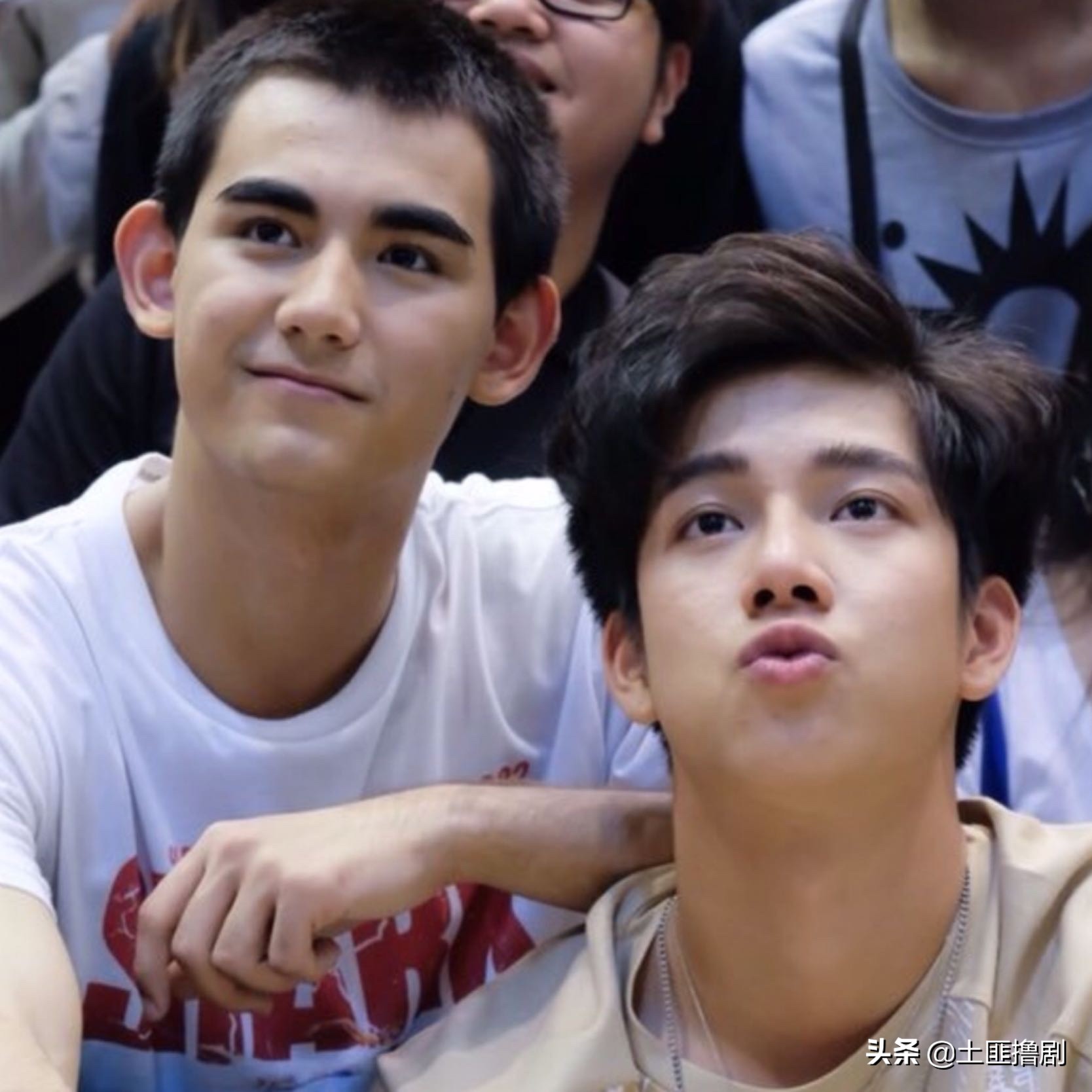 耽改坑多看腐剧也有雷，假偶天成还能火进内地的，可能只剩她了