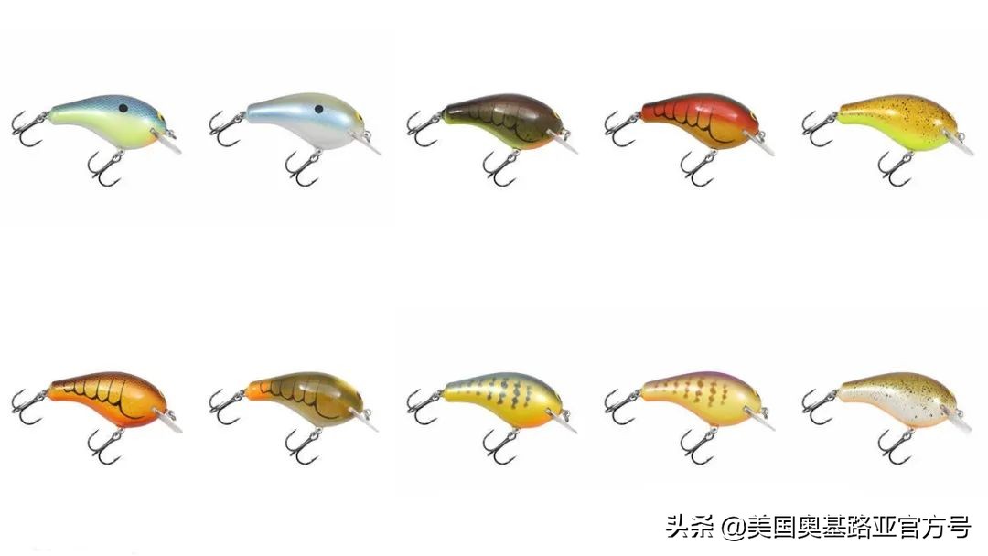 2021年春季渔具展会,2021昆明渔具展时间表