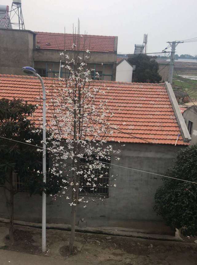 滞留武汉湖北人,滞留在武汉的外省人怎么办