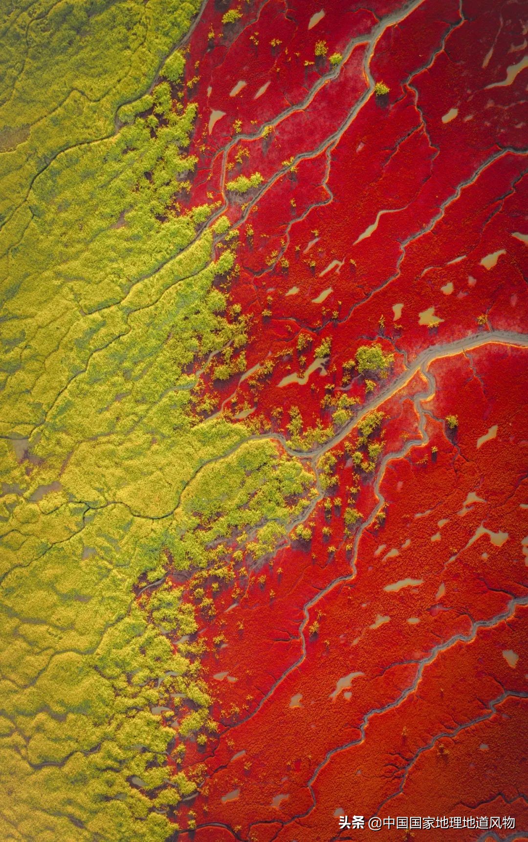 东北的门户图片,东北门户是什么地方