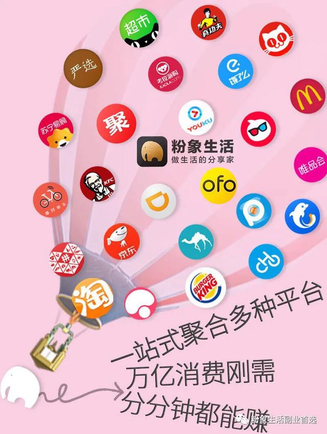 粉象生活升级会员后真的能赚钱吗,阿里巴巴和粉象生活有什么区别