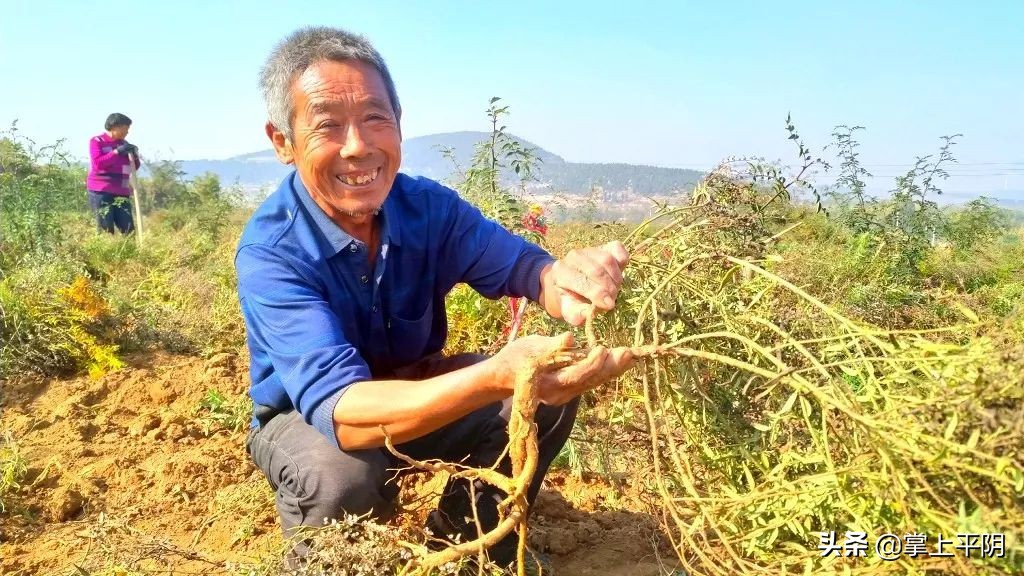 政务新闻|聘交通与物流专家建物流平台；推动全县民营经济高质量发展；推动农村道路交通安全工程实施