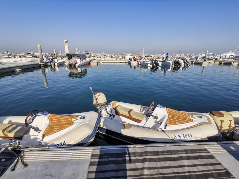 从天空到海洋到大地的视频,从天空到海底绘本