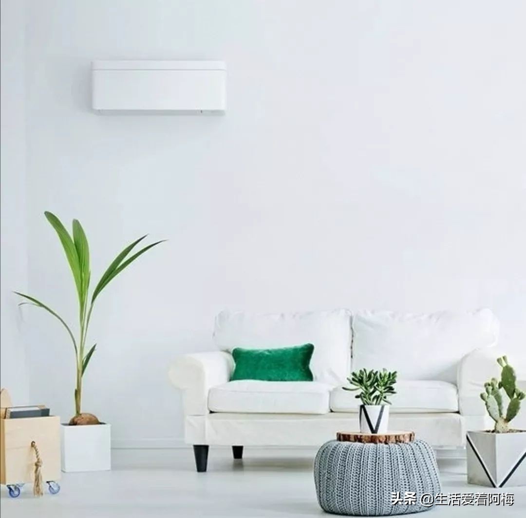 新鞋里的纸团原来有这么多作用,新鞋里面的纸团有什么用途