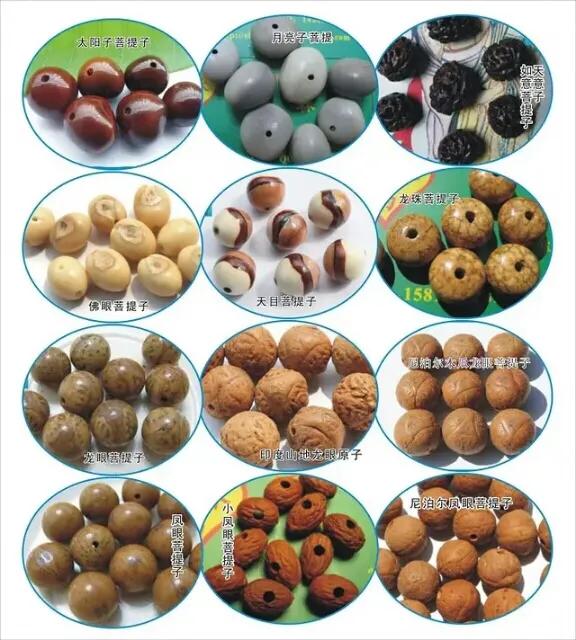 买菩提推荐款式,缅甸菩提什么款式好