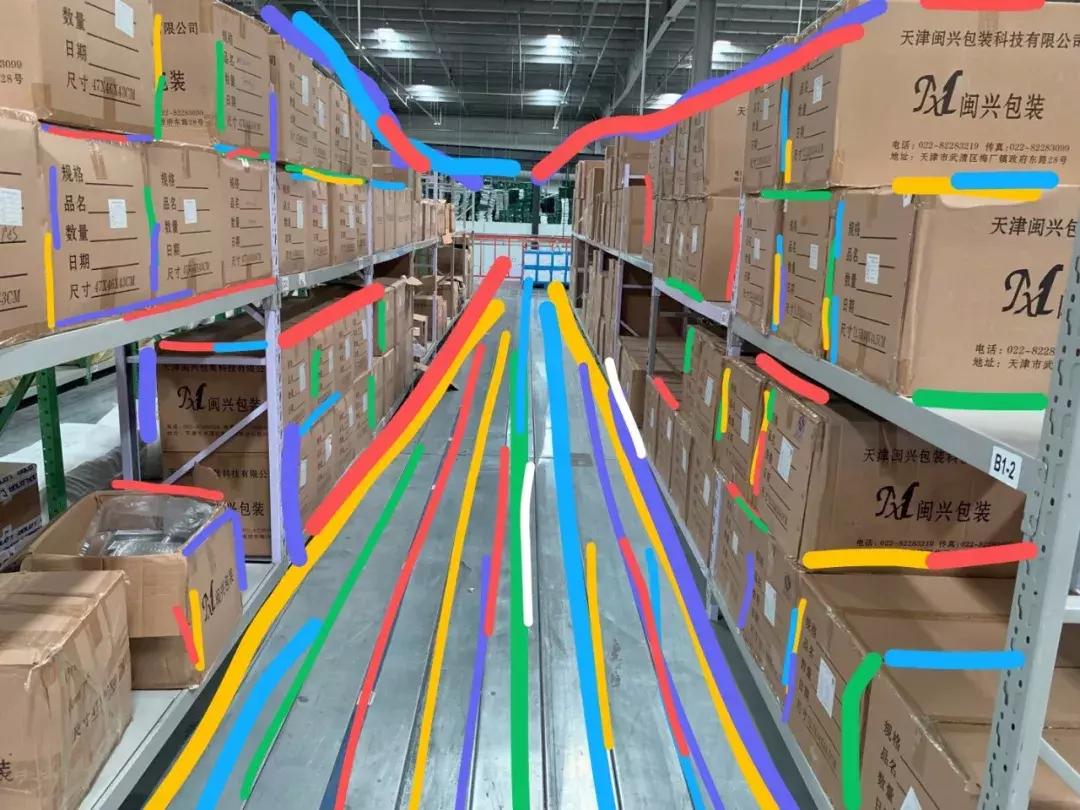 在大自然当中寻找有机蔬菜,为大家采摘绝对新鲜的有机蔬菜