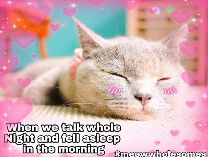 猫咪背景图ins风,猫咪背景图ins高级质感黑猫