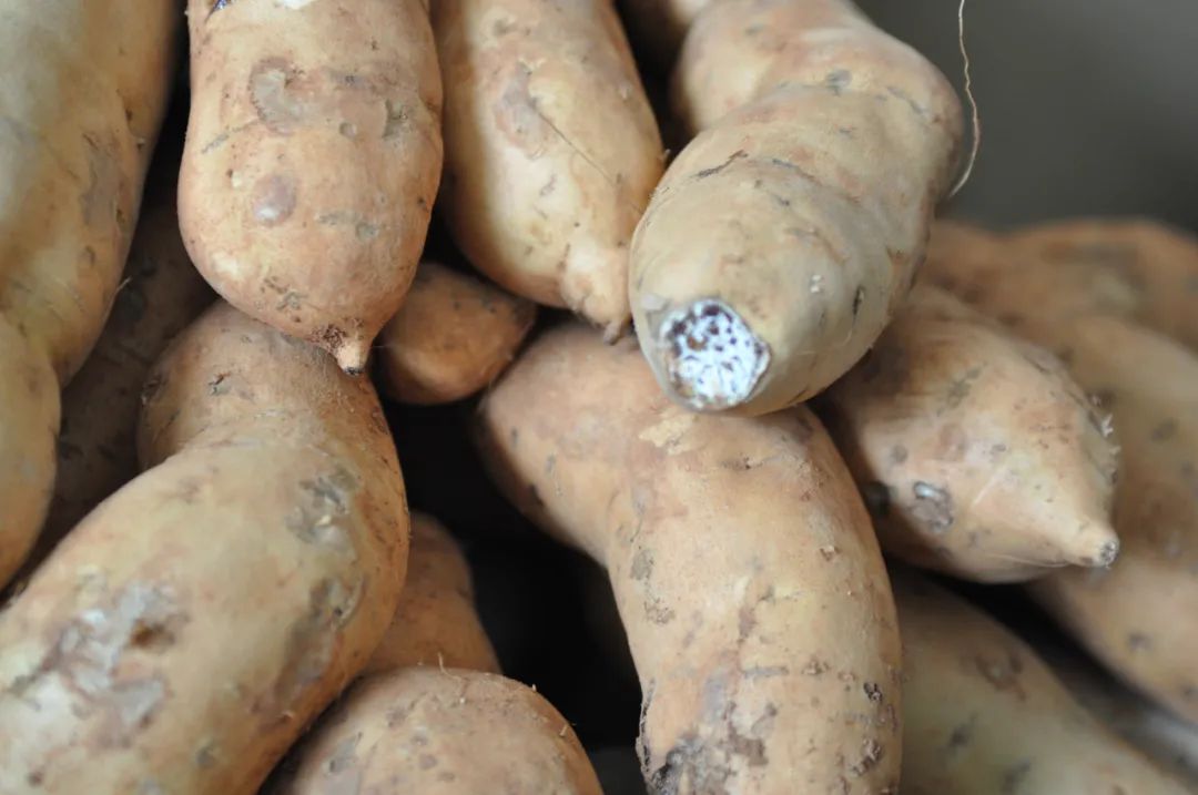 建水古城美食在哪,建水古城美食米线