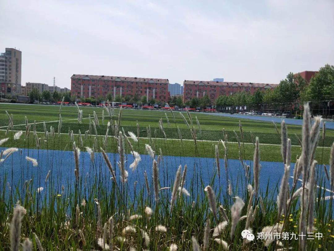 郑州第九十三中学康平路,郑州第九十三中排名