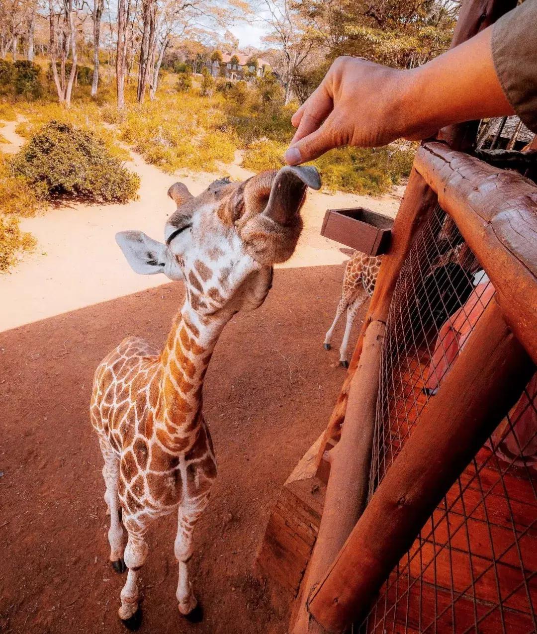 丽江最美的一个地方,中国最美100个地方丽江