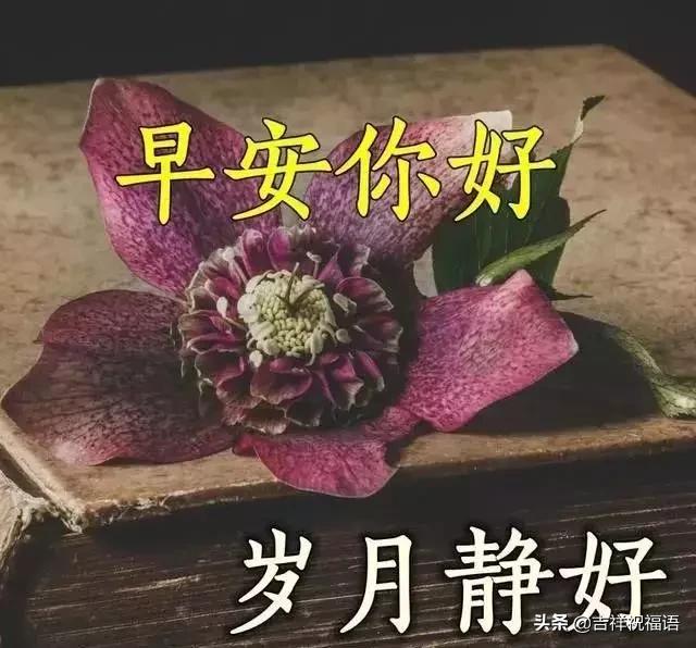 人生路有风有雨有苦有甜,人生的路有风有雨有坎坷