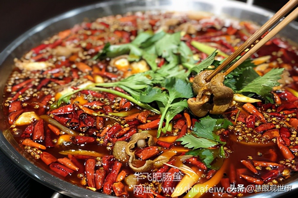 《侯海洋基层风云》中肥肠火锅鱼发生的故事