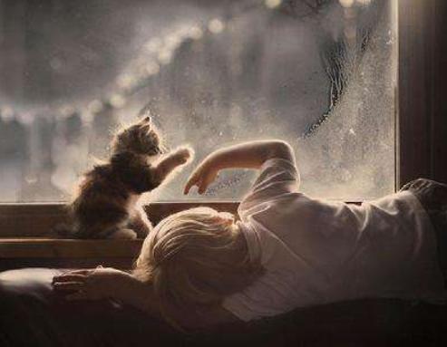 猫毛会被婴儿吸进肺部吗,家人对猫毛过敏能养猫吗