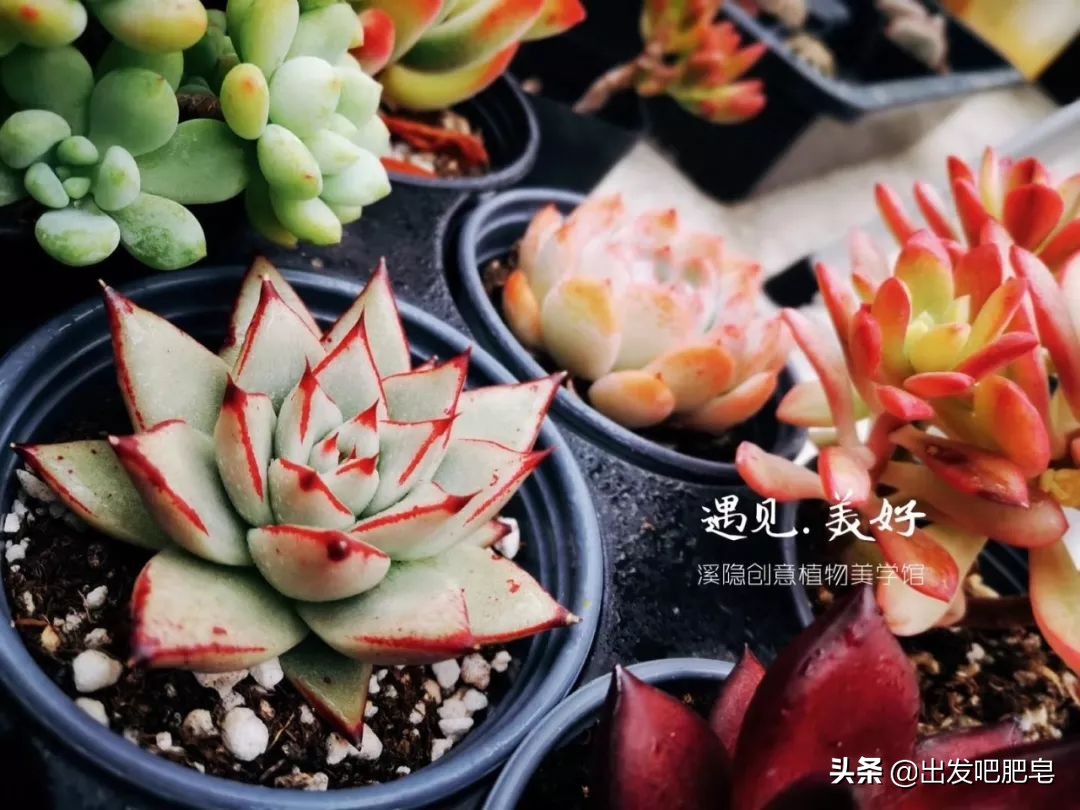 生活如何增添仪式感,孩子生日party怎么过有创意