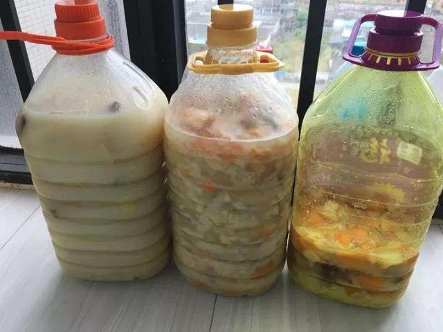 如何用塑料瓶做养花神器,今天教你如何让塑料瓶秒变盆栽