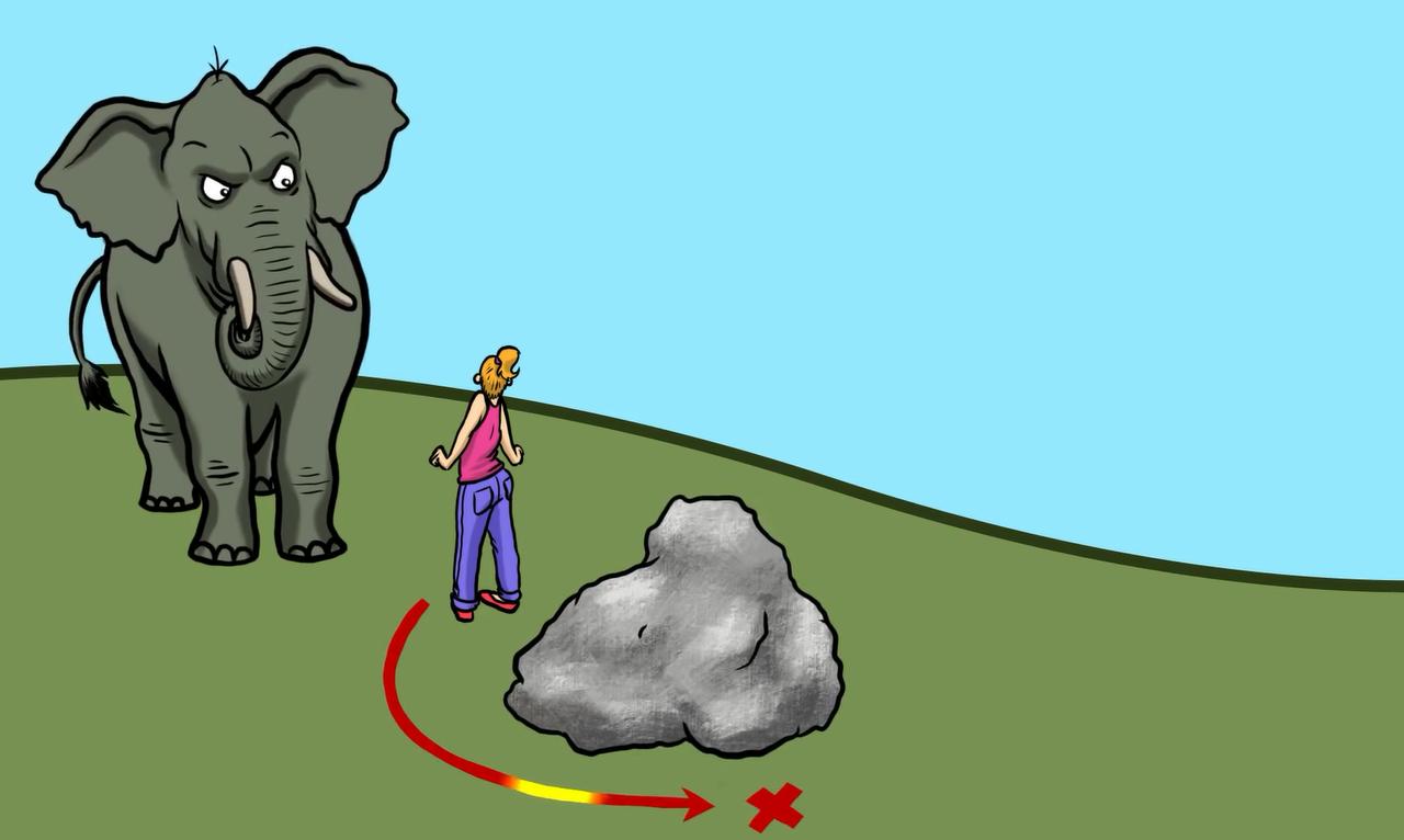 野外遇到大型动物如何自救,如果在野外遇到危险动物该怎么办