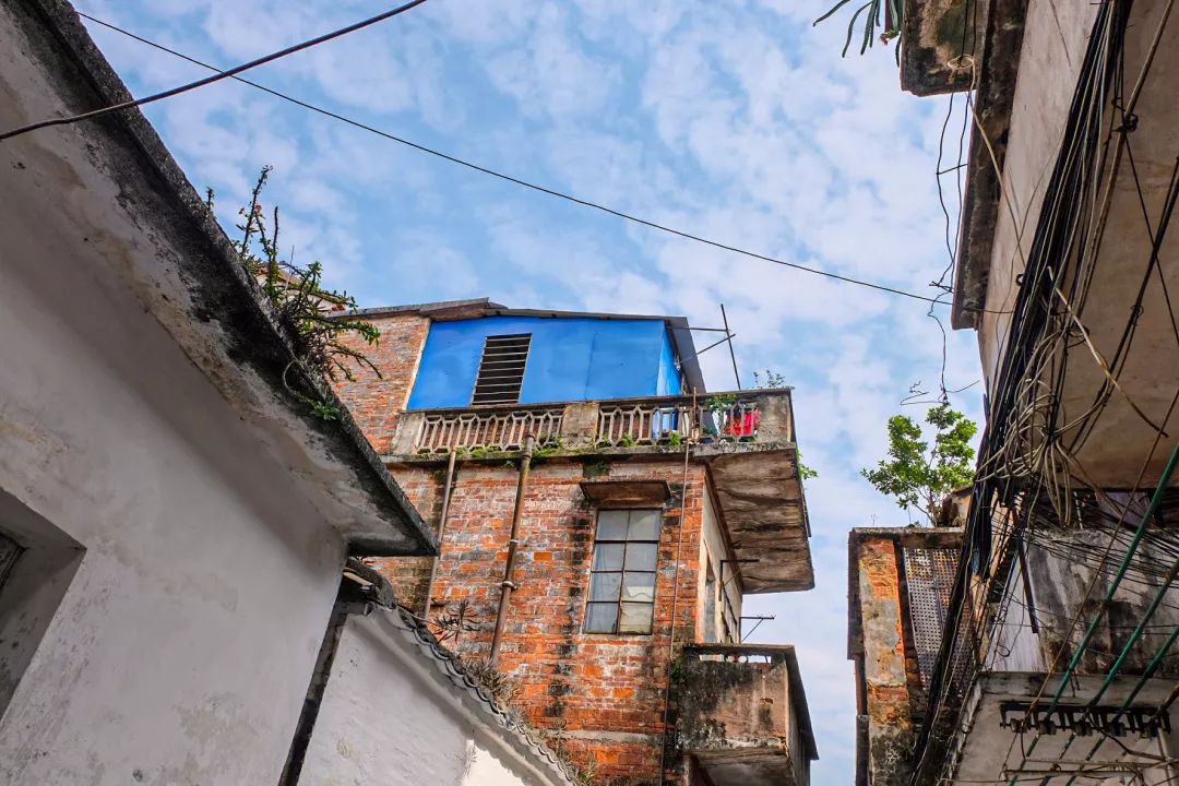 顺德到底啥好吃,顺德到底有多好吃