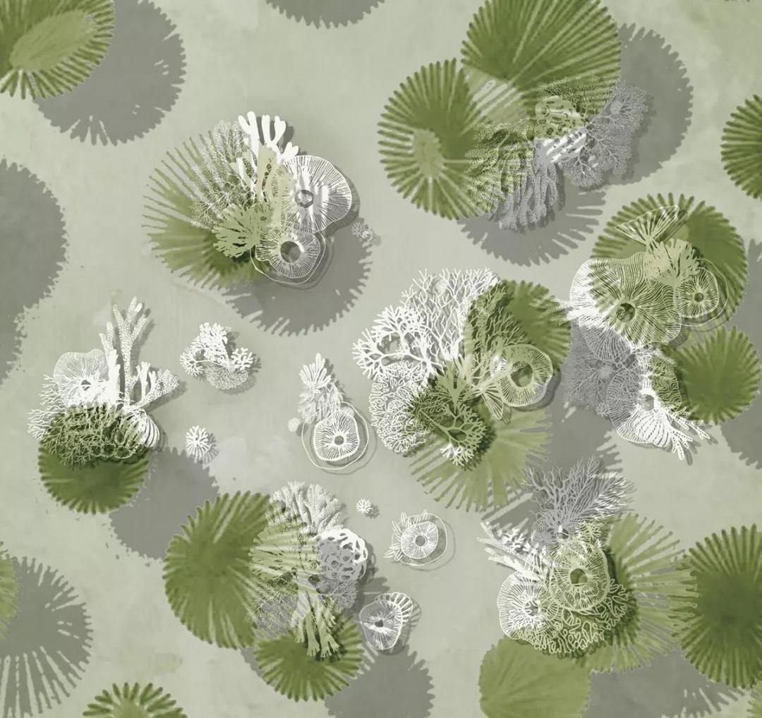 2019鸟瞰图,推荐鸟瞰图