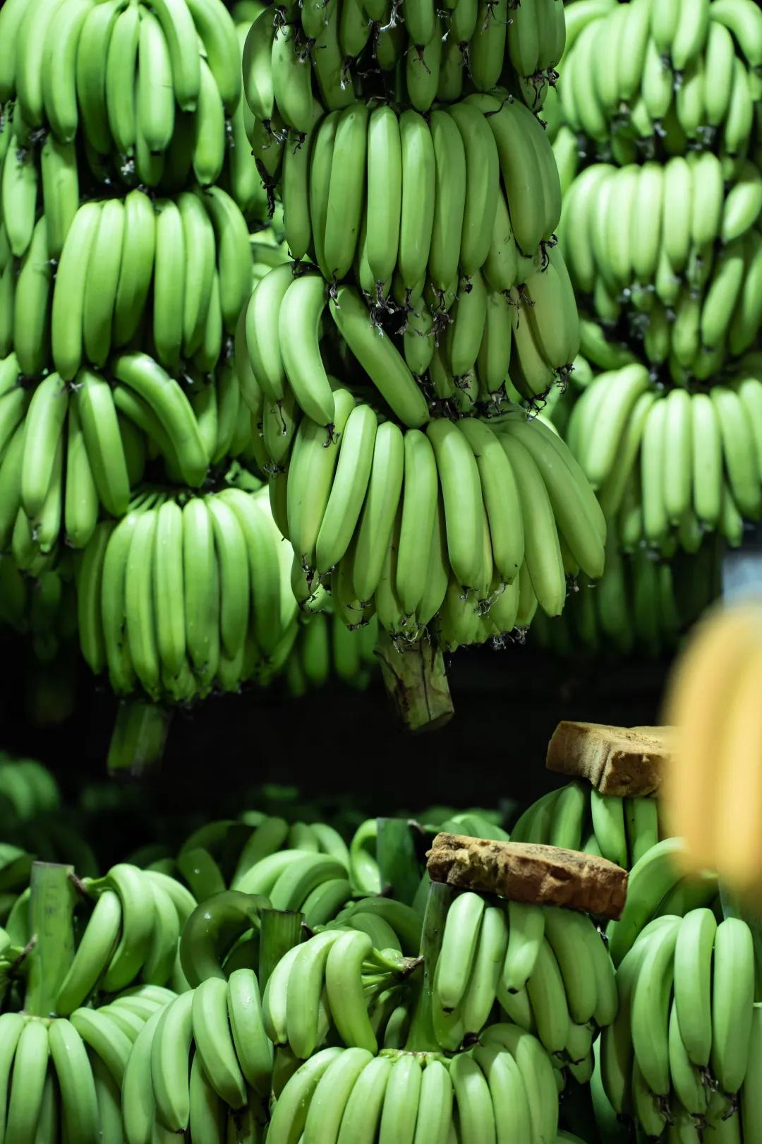 深圳宝安农批市场是几级,宝安农批市场在什么街道