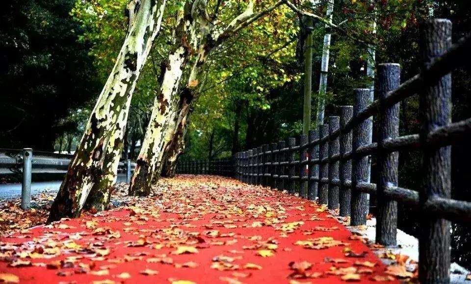 250公里!颜值爆表!杭州这条世界级景观长廊,最新进展抢鲜看